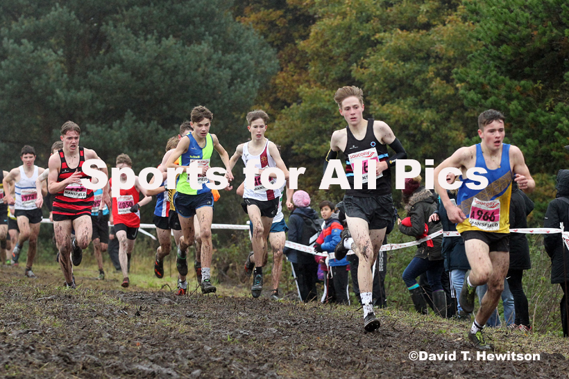 Boys under-15s, National Cross Country Relay Champs., Berry Hill Park, Mansfield.  Photo: David T. Hewitson/Sports for All Pics